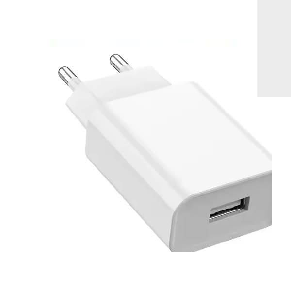 Chargeur Secteur USB 5 V 2 A