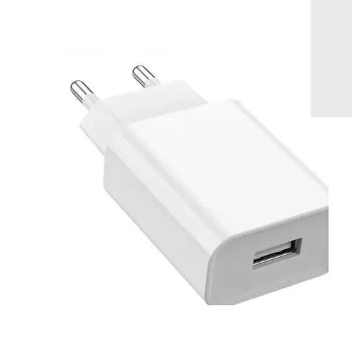 Chargeur Secteur USB 5 V 2 A